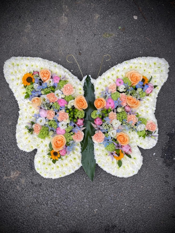 Butterfly Tribute