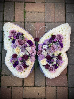 Butterfly Tribute