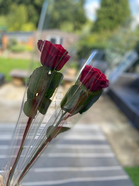 Add a Single Wrapped Rose