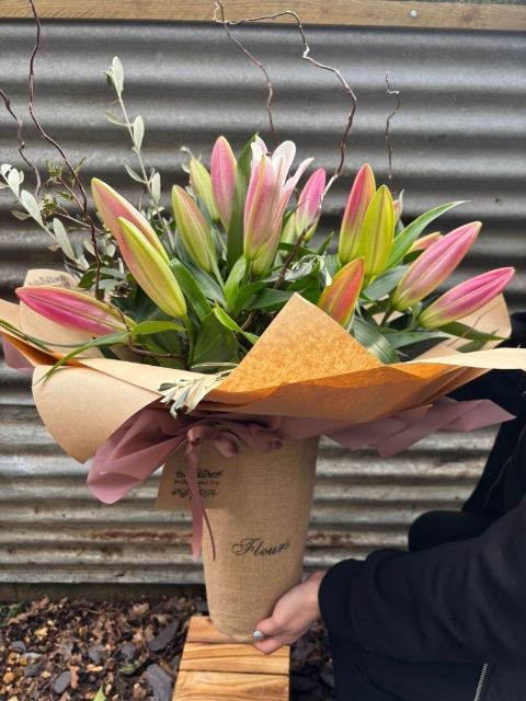 Sunday morning Lillies