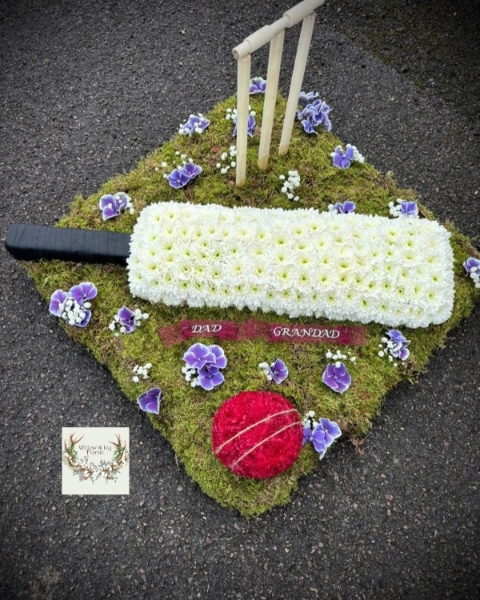 Cricket Bat on a field