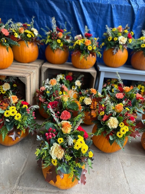 Pumpkin Floral Arragenments